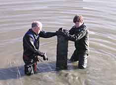 The milepost is found